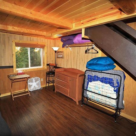 Denali Park View Family Log Cabin מראה חיצוני תמונה