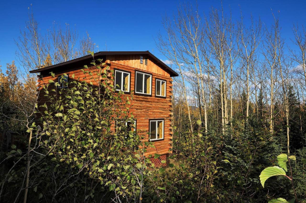Denali Park View Family Log Cabin מראה חיצוני תמונה