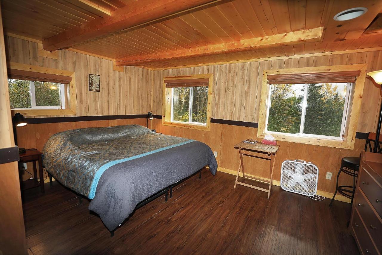 Denali Park View Family Log Cabin מראה חיצוני תמונה