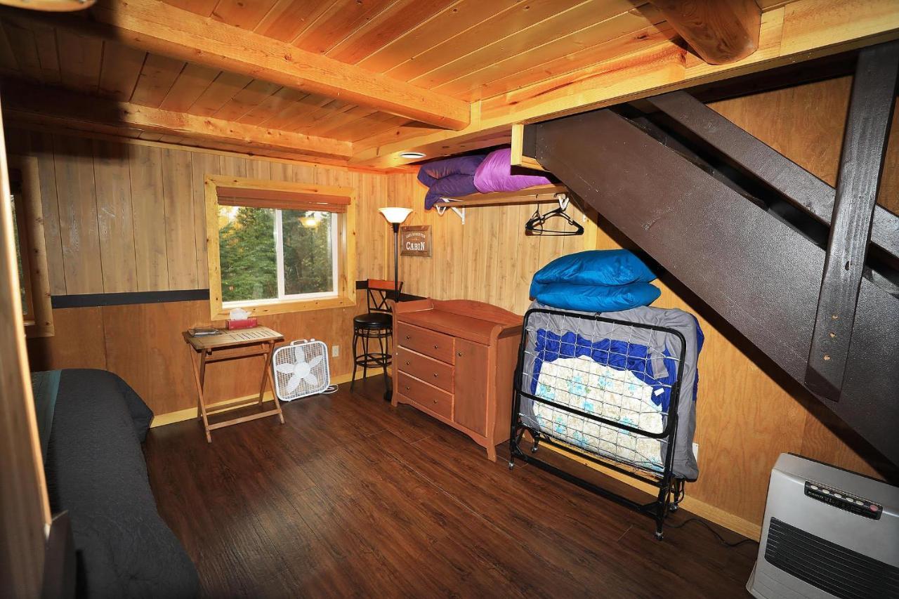 Denali Park View Family Log Cabin מראה חיצוני תמונה