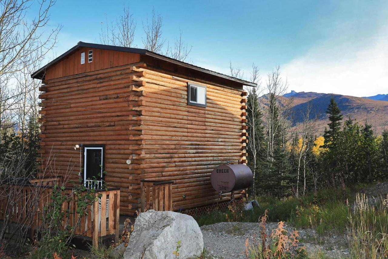 Denali Park View Family Log Cabin מראה חיצוני תמונה