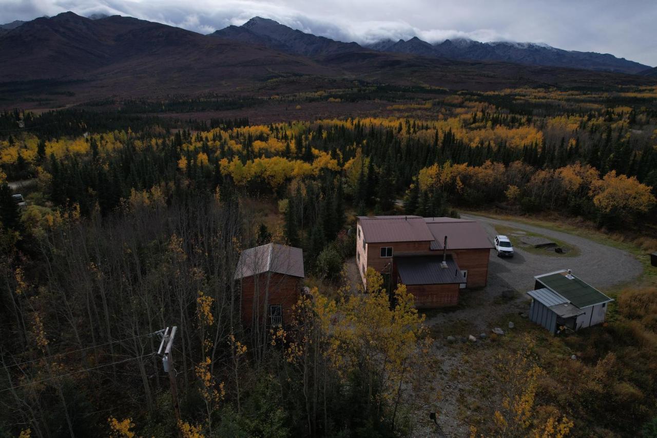 Denali Park View Family Log Cabin מראה חיצוני תמונה