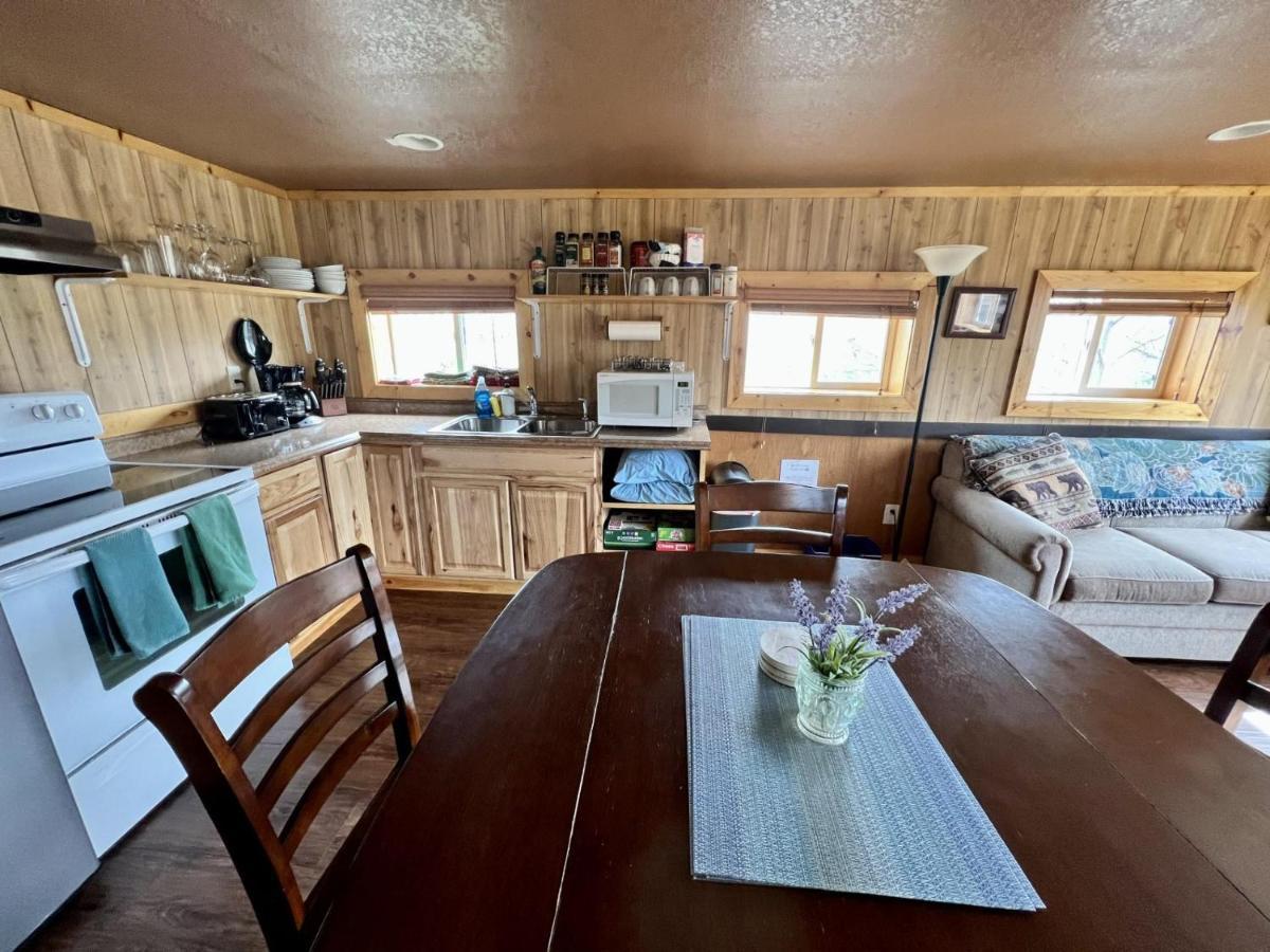 Denali Park View Family Log Cabin מראה חיצוני תמונה